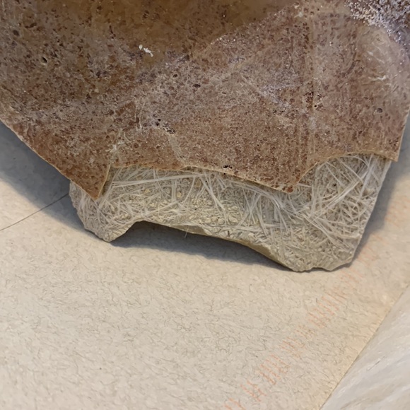 Lizard cave and driftwood - Picture 6 of 7